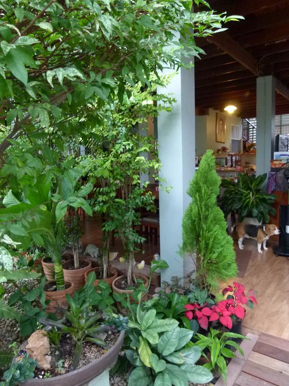 Ban Boonchu Bed & Breakfast Phra Nakhon Si Ayutthaya Exterior photo